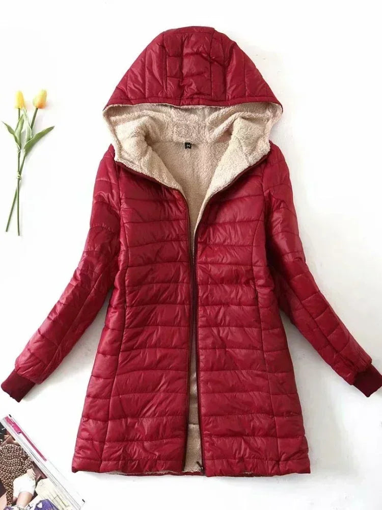 Laurent™| Korean Jacket